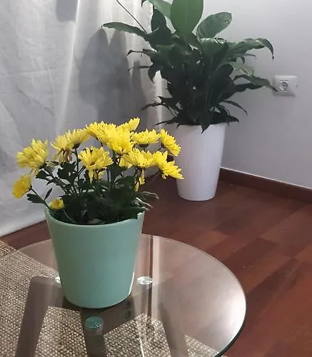 아파트 El Rincon De Mi Nina *